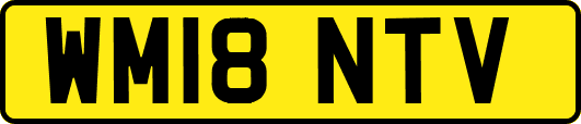 WM18NTV