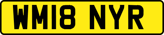 WM18NYR