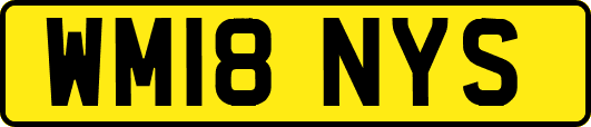 WM18NYS