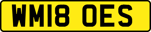 WM18OES