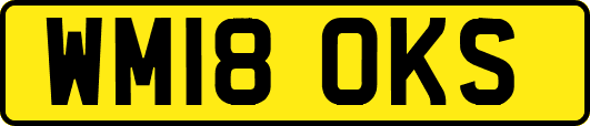 WM18OKS