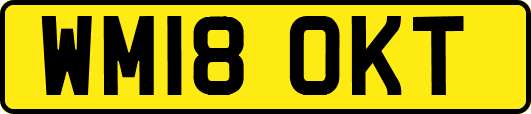 WM18OKT