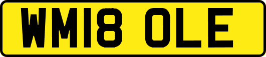 WM18OLE