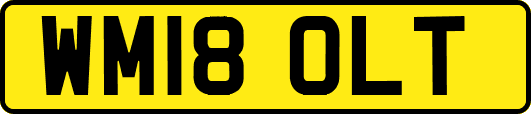 WM18OLT