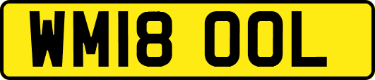 WM18OOL