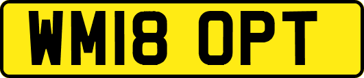 WM18OPT