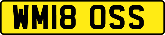 WM18OSS