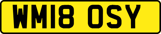 WM18OSY