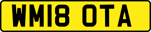 WM18OTA