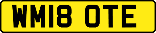 WM18OTE