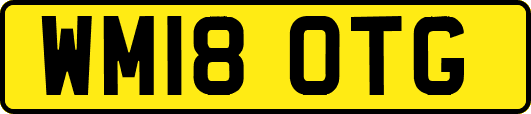 WM18OTG