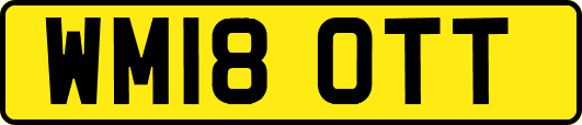 WM18OTT