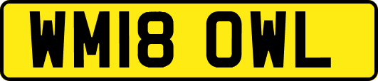 WM18OWL