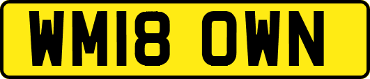 WM18OWN