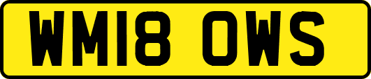 WM18OWS