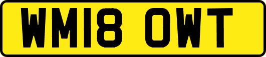 WM18OWT