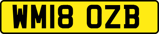 WM18OZB