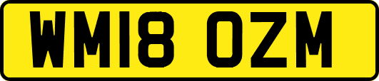 WM18OZM