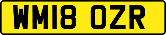 WM18OZR