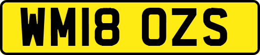WM18OZS