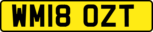 WM18OZT