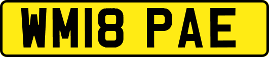 WM18PAE