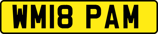 WM18PAM