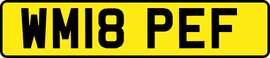 WM18PEF