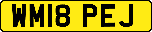 WM18PEJ