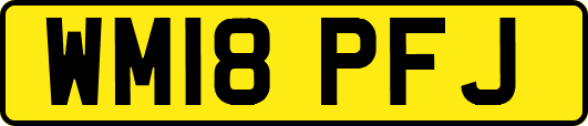 WM18PFJ