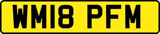 WM18PFM