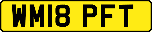 WM18PFT
