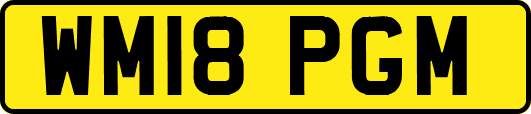 WM18PGM