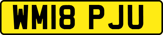 WM18PJU