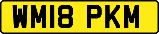 WM18PKM