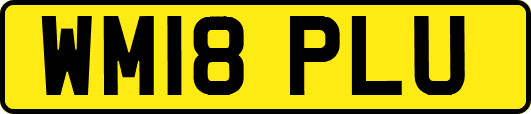 WM18PLU