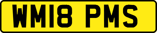 WM18PMS