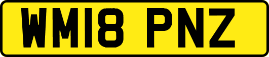 WM18PNZ