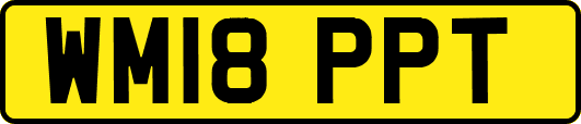 WM18PPT