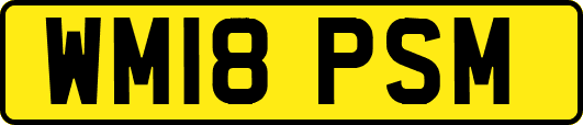 WM18PSM