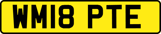 WM18PTE