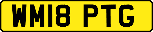 WM18PTG