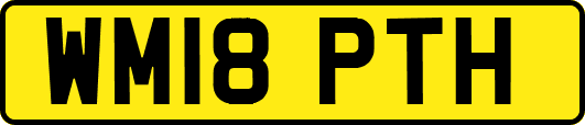WM18PTH