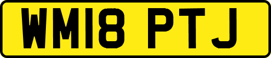 WM18PTJ