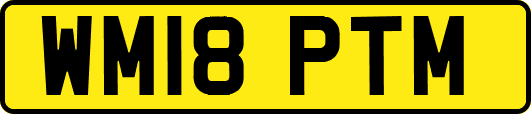 WM18PTM
