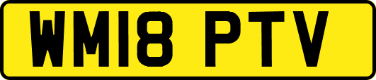 WM18PTV