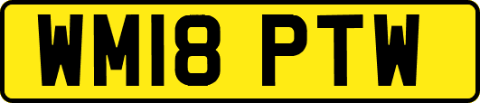 WM18PTW