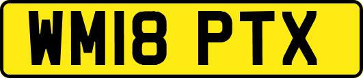 WM18PTX