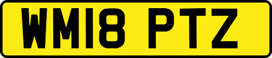WM18PTZ