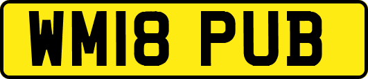 WM18PUB